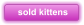 sold kittens