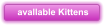 avallable Kittens