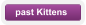 past Kittens