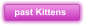 past Kittens
